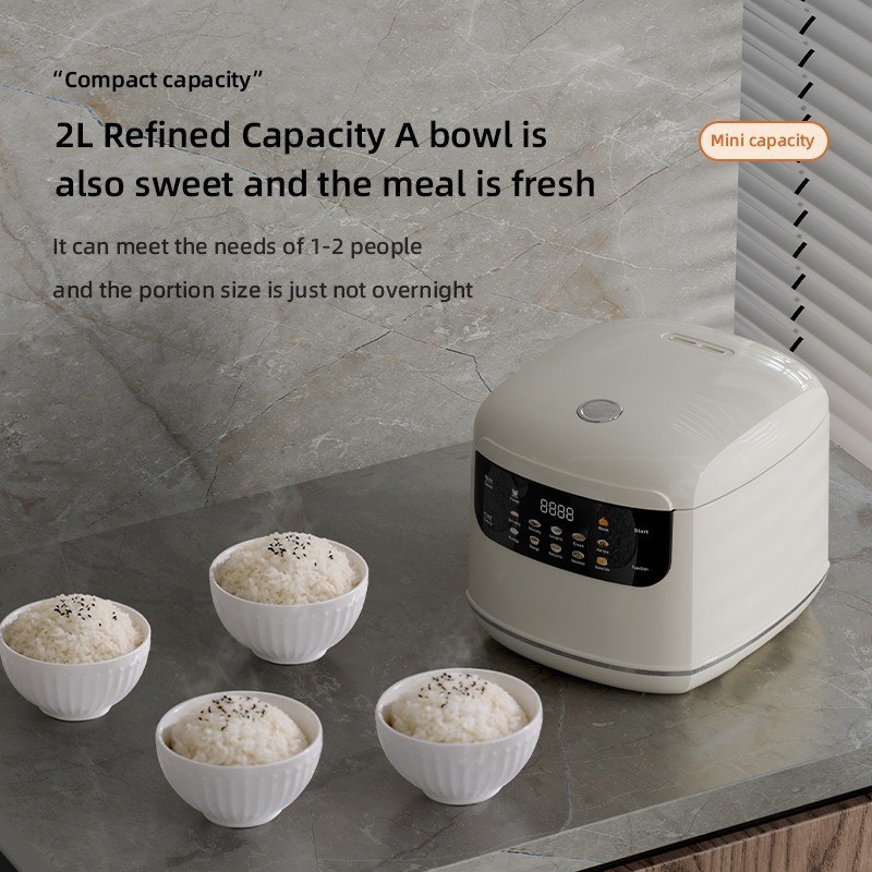2026 new home110V/220V US /EU/ - Uk Home Cooking recension och pris